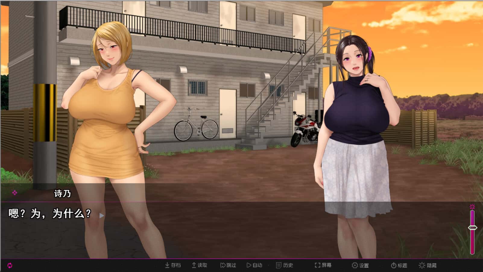 纯情房东撬房客 Afternoon Affairs & Helpless Housewives游戏封面